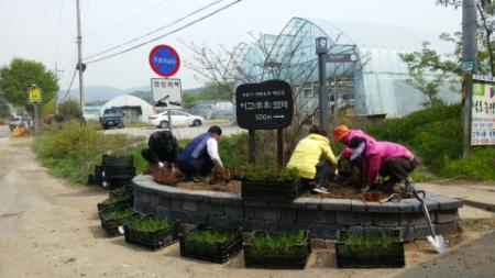 연무동 아름다운 마을정원 가꾸기 본격 추진